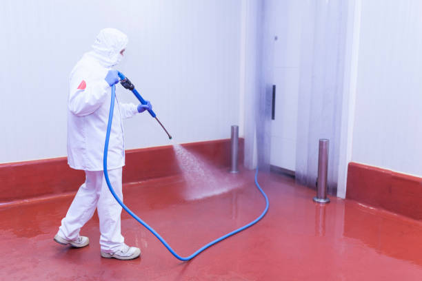 Professional Pressure Washing Services in South Corning, NY