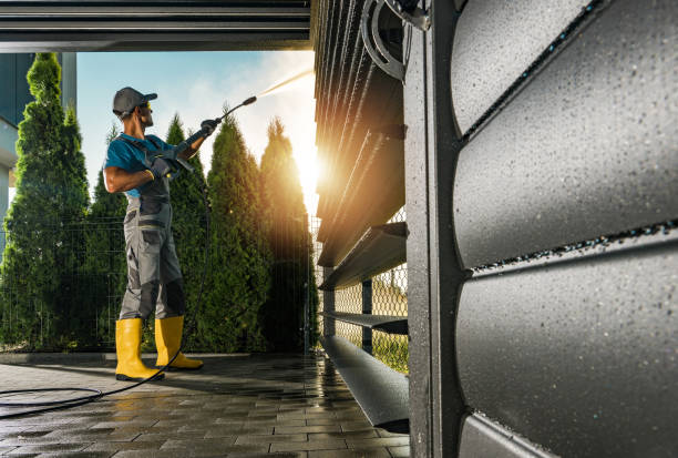 Best Roof Washing  in South Corning, NY
