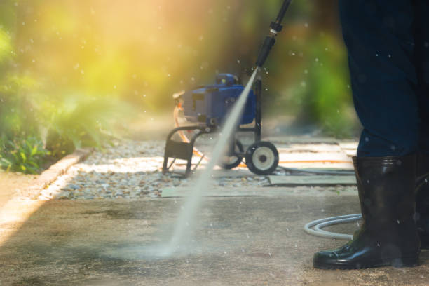 Best Sidewalk and Walkway Cleaning  in South Corning, NY